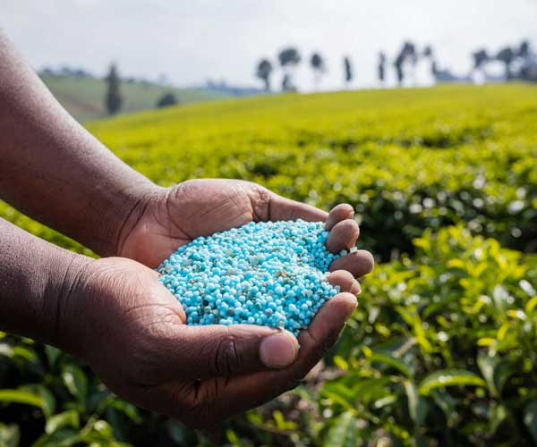 Chemical and Fertilizers Industries